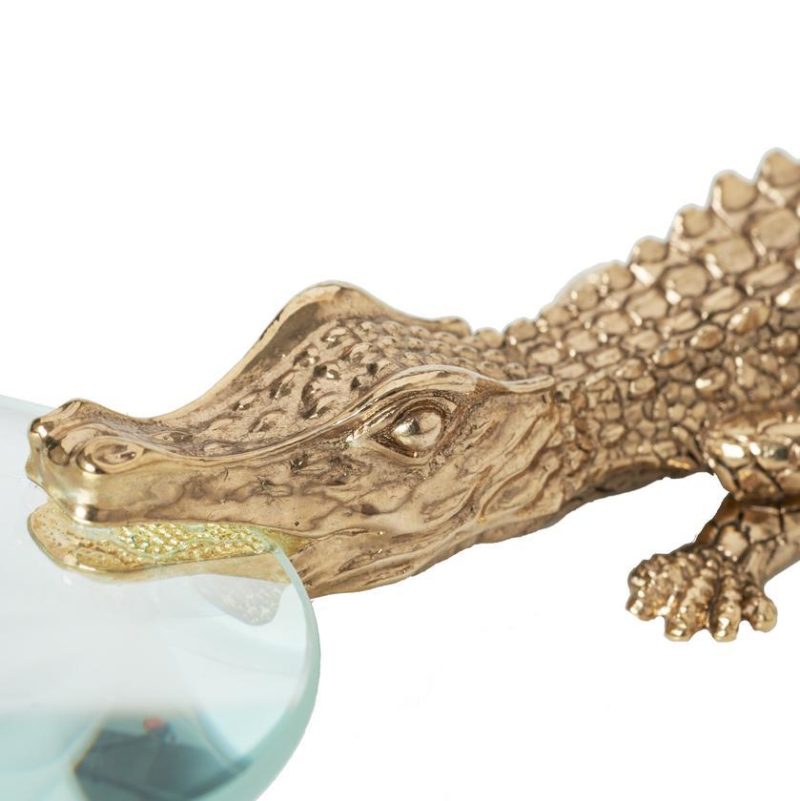 Crocodile vergrootglas